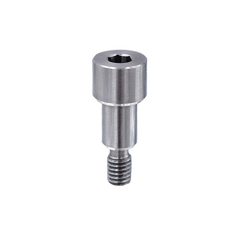 Features and aspects of precision screws