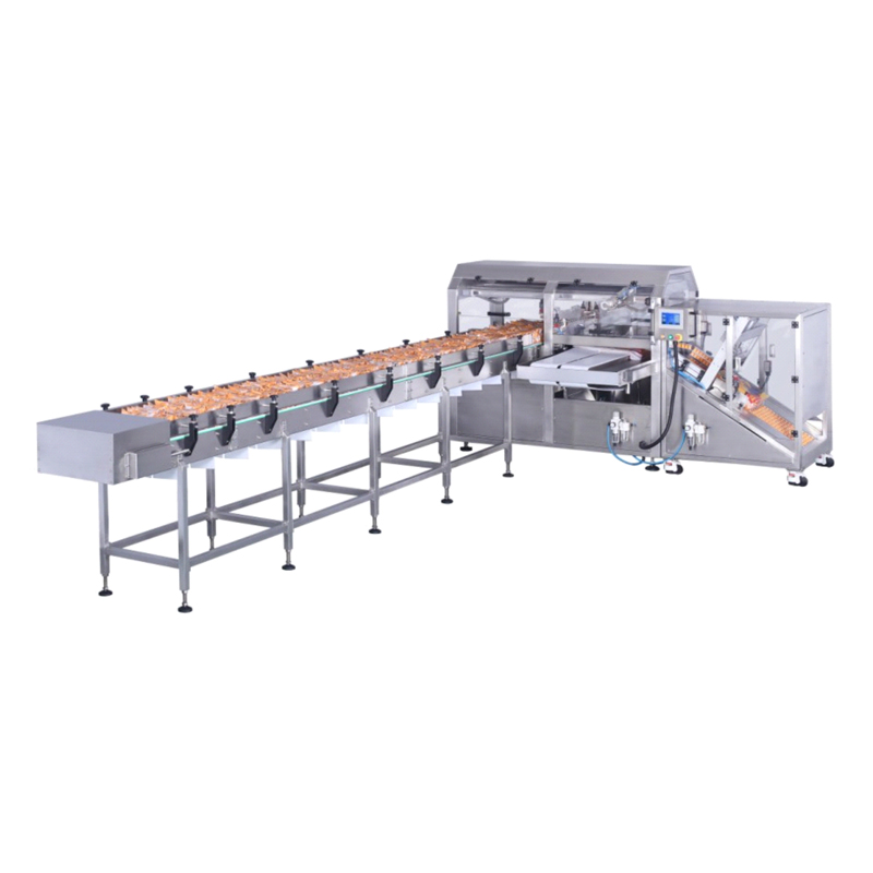 Key features and functions of a typical secondary bag packaging machine