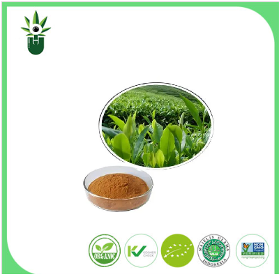 Exploring the Benefits and Applications of Natural Green Tea Extract 98% L