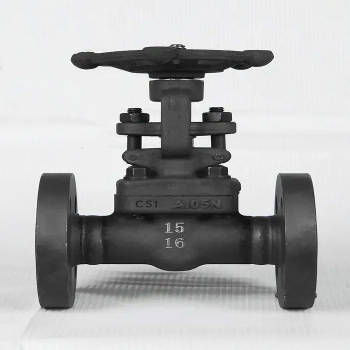 A Complete Guide to API 602 Forged Gate Valves