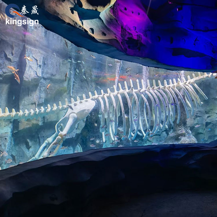 Aquarium Windows: Ultra-Clear Views into the Ocean World
